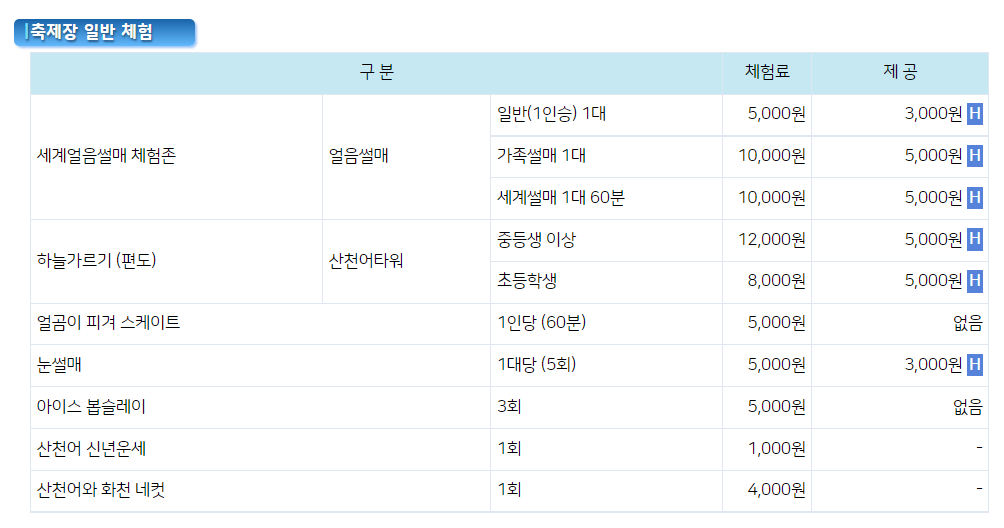 축제장 일반체험 체험료