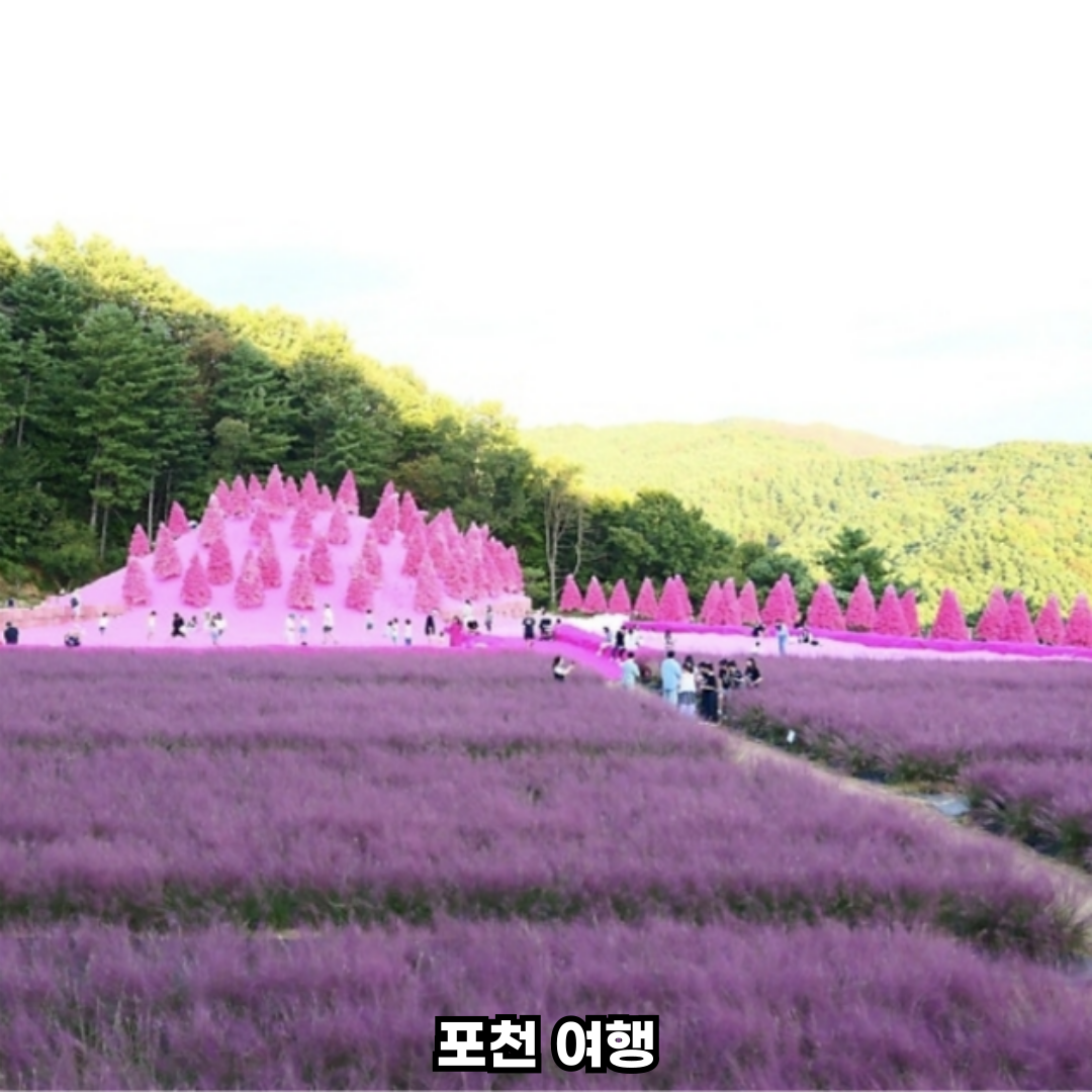 포천당일치기여행