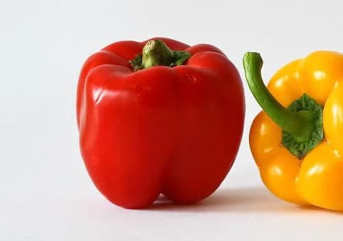 콩팥에 좋은 음식 파프리카