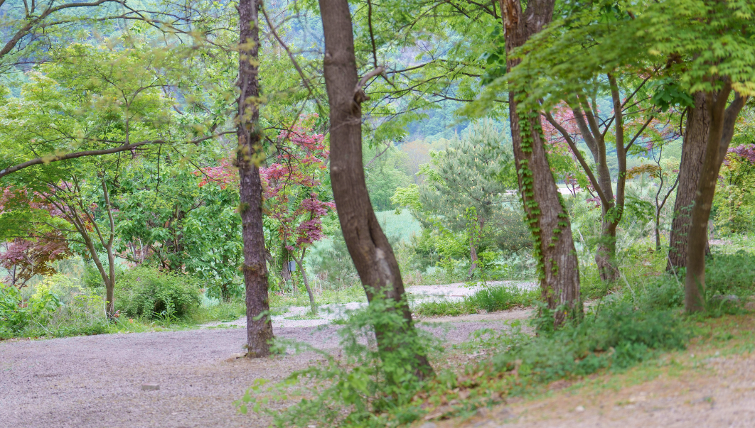 경기-포천-멍우리협곡-캠핑장-사진-입니다.