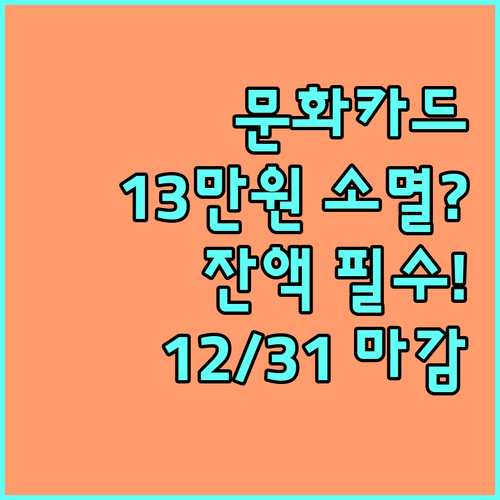 경고! 12월 31일 이후 문화누리카..