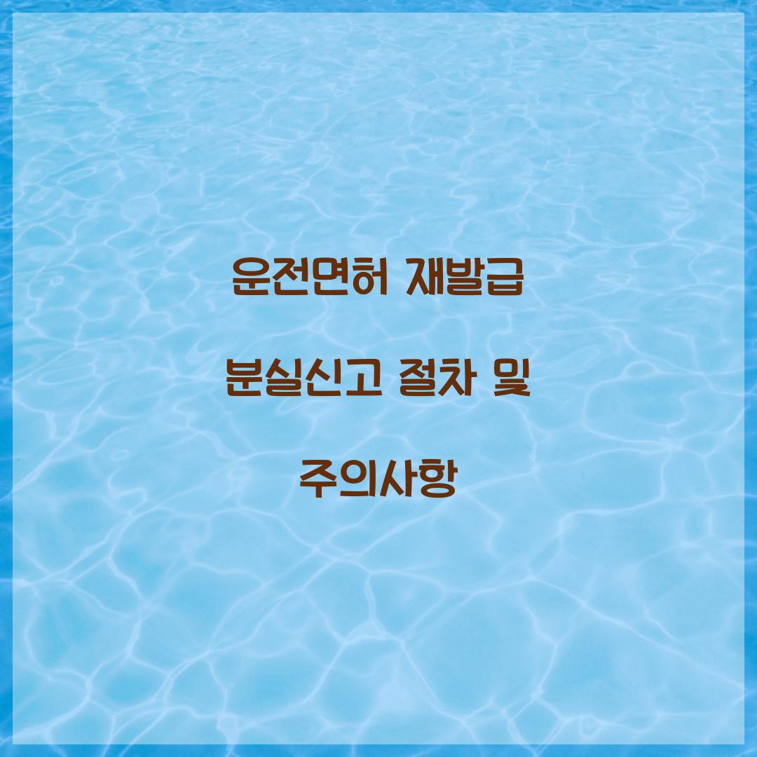 운전면허 재발급 분실신고