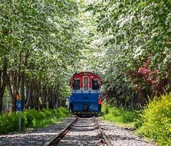 SRT 할인예매방법