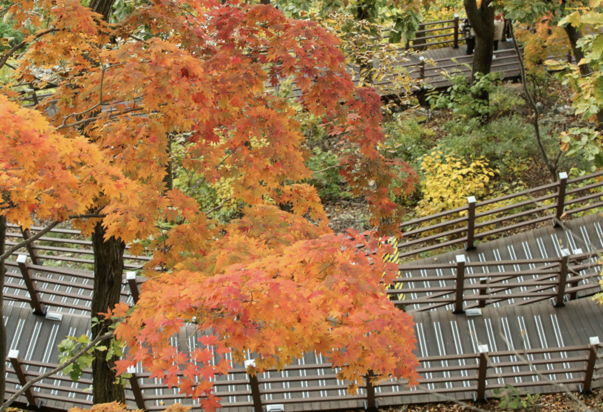 춘천 삼악산 호수케이블카 산책길&amp;스카이워크 안내