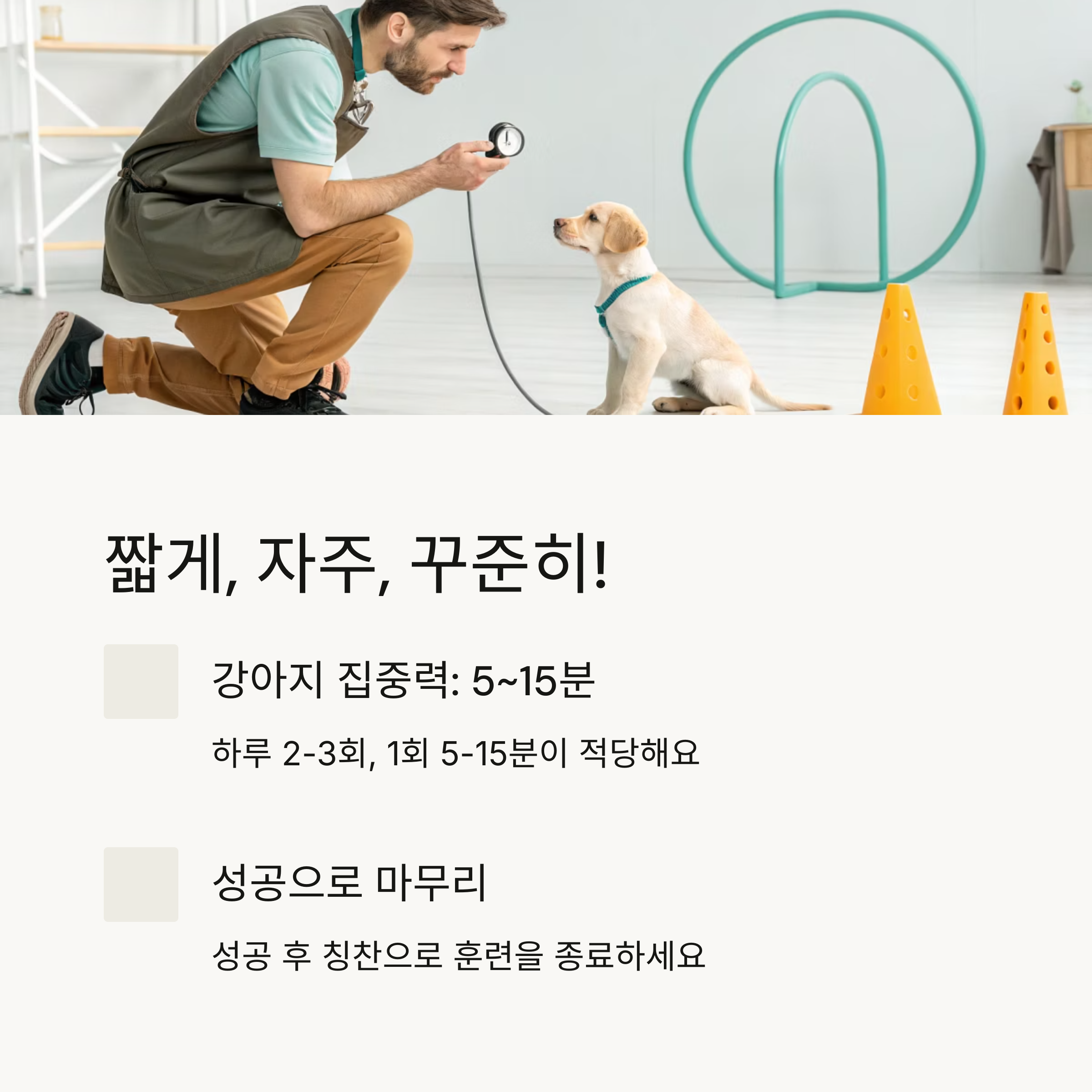 짧게, 자주, 꾸준히