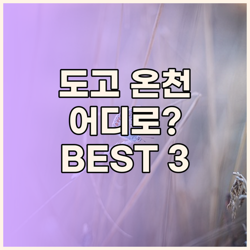 도고 온천 호텔 어디로 가야 할까? 