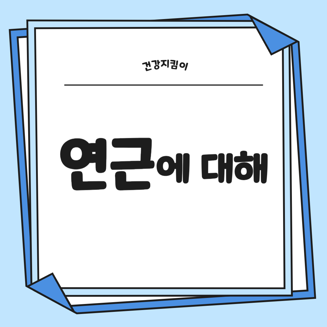 연근 효능과 부작용 먹는법 고르는법 칼로리