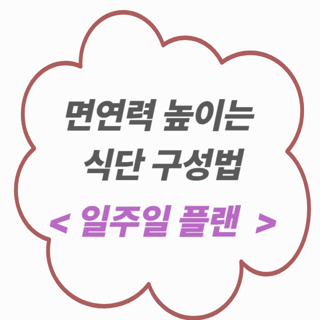면역력 높이는 음식과 식단 구성법 — 일주일 플랜 예시