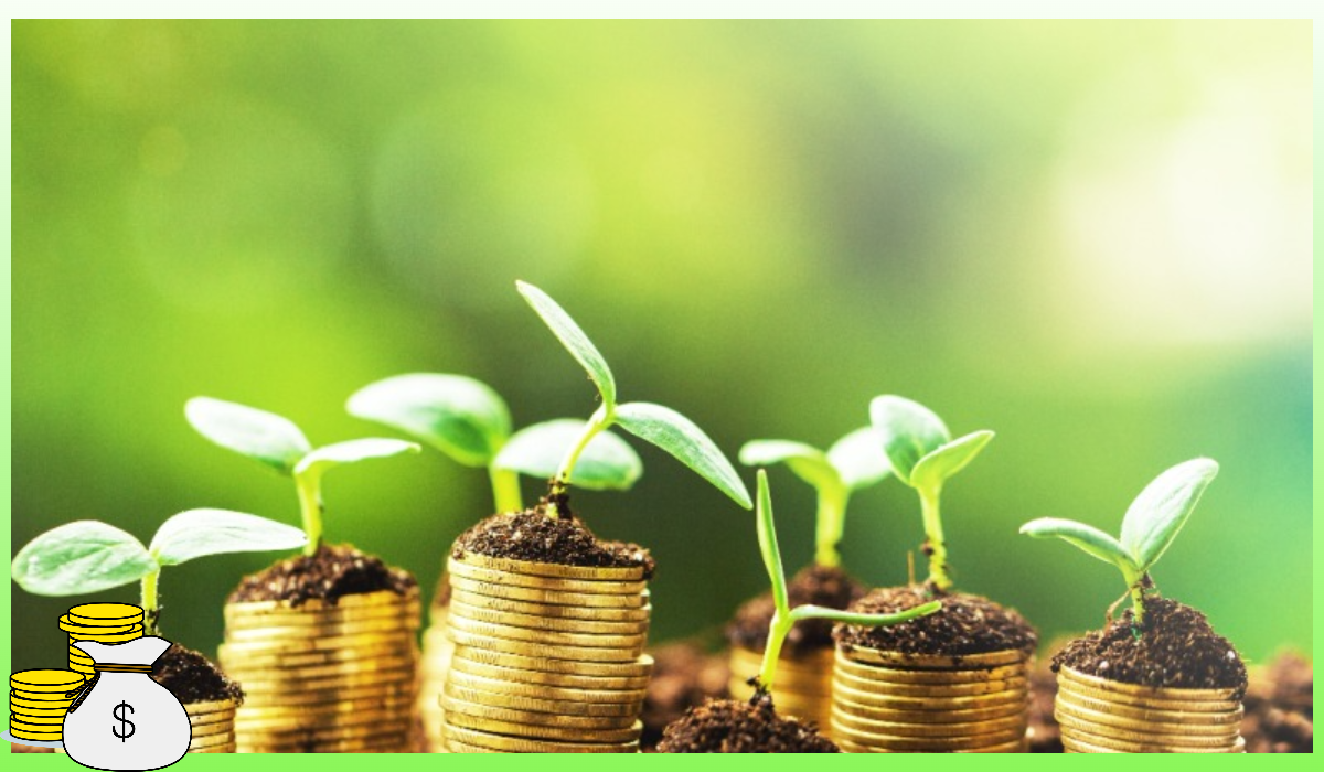 정부지원 저금리대출