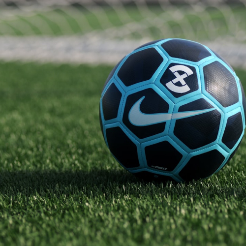 나이키 로고가 선명한 파란색과 검정색으로 조화된 잔디위에 축구공