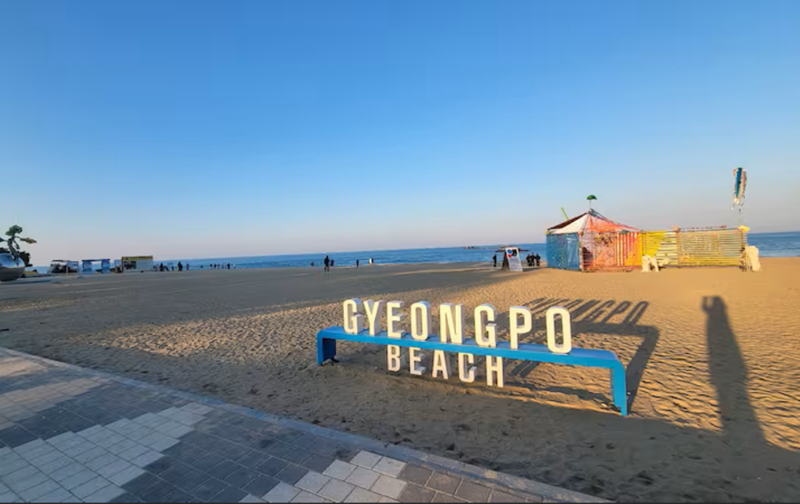 2025년 강릉 가볼만한 곳 베스트 10