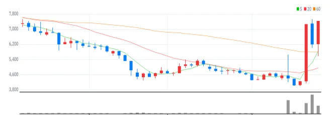삼영에스앤씨 주봉