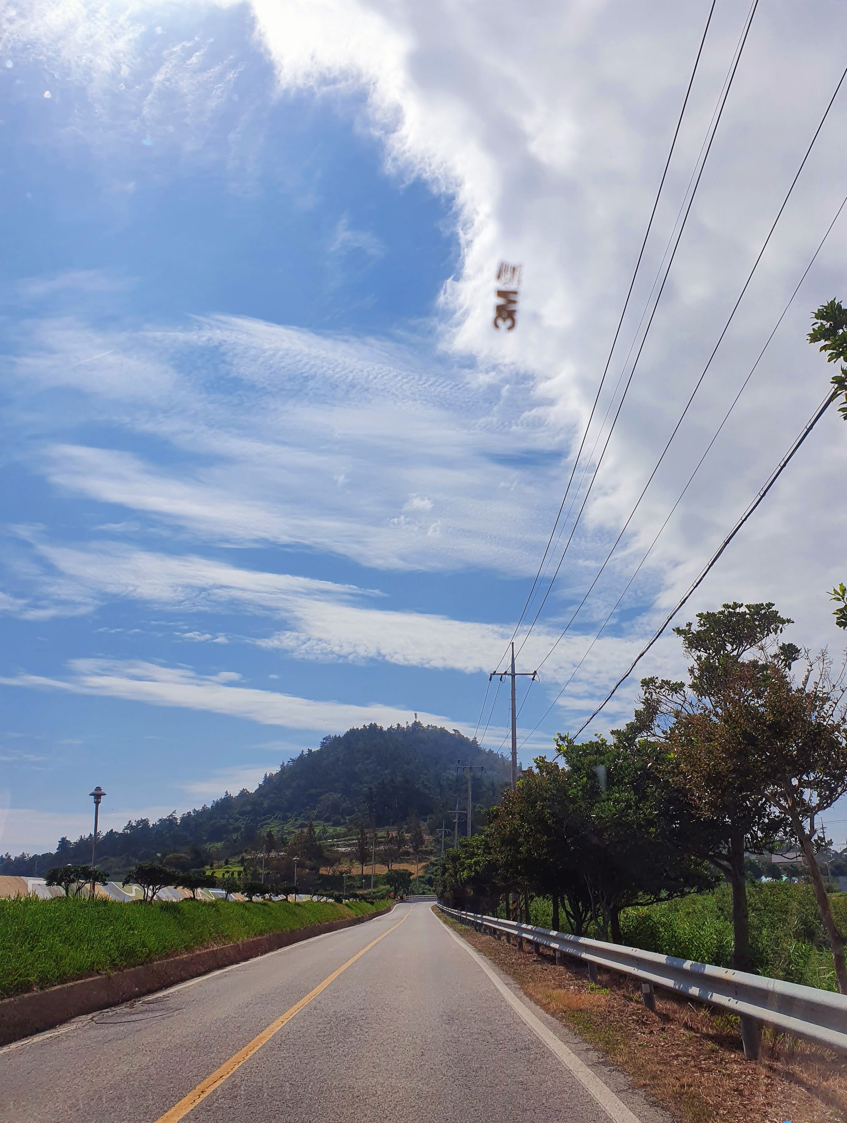 2. 팔금도왕새우