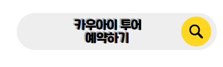 하와이 신혼여행