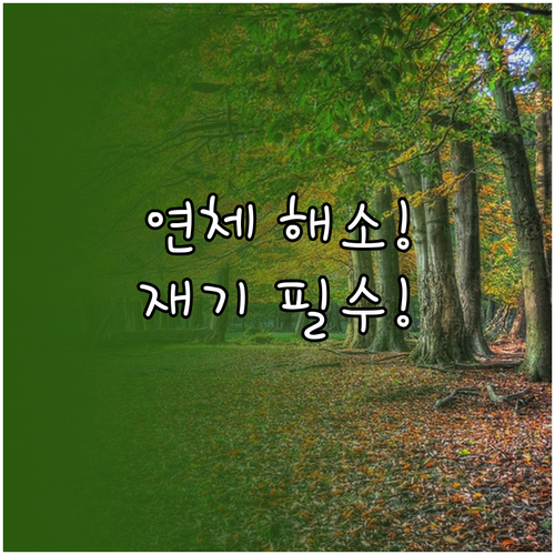 과거 연체 낙인 해소 298만 명의 ..