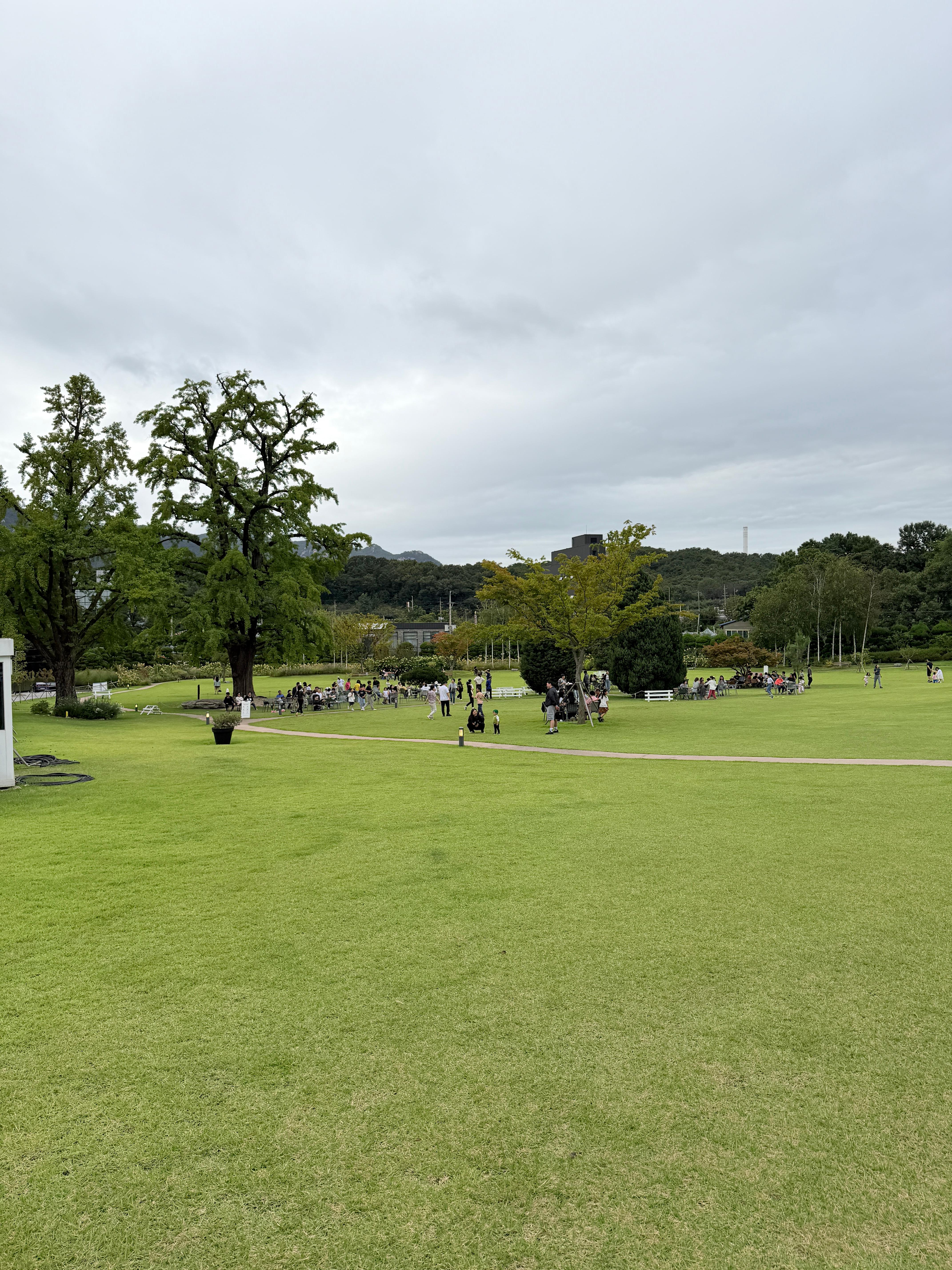 파크프리베 실외 잔디밭 사진