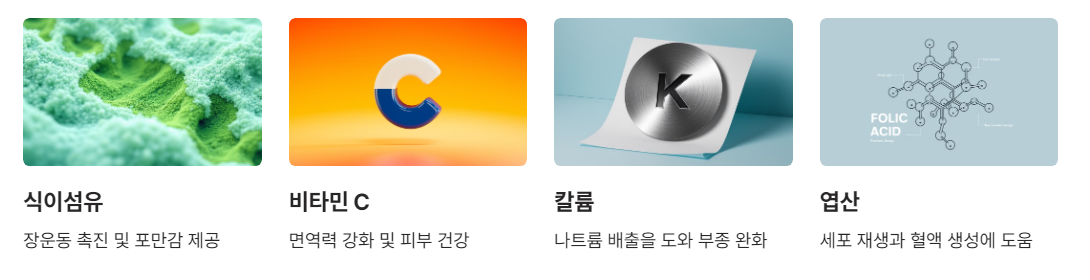 엔다이브 칼로리와 영양 성분