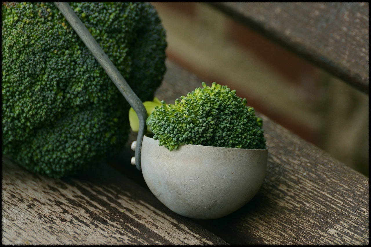 브로콜리 이미지11