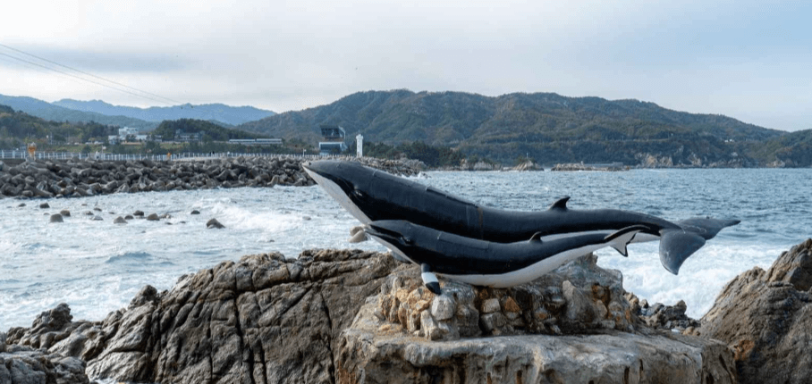 삼척 가볼만한곳 베스트10