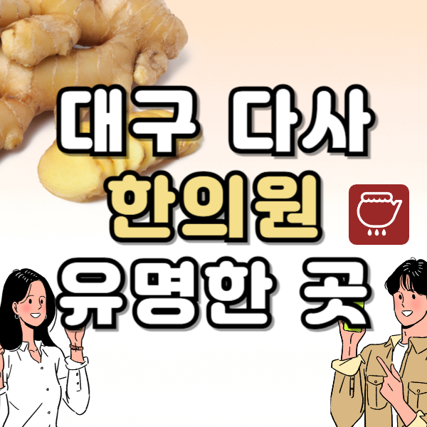 대구 달성군 다사 한의원 추천 TOP5 양심 한의원 유명한 곳