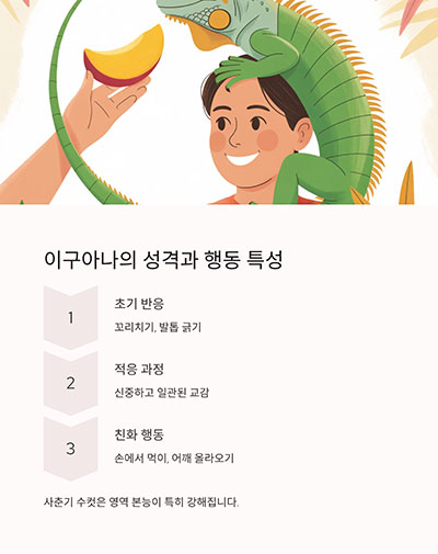 성격과 행동 특성