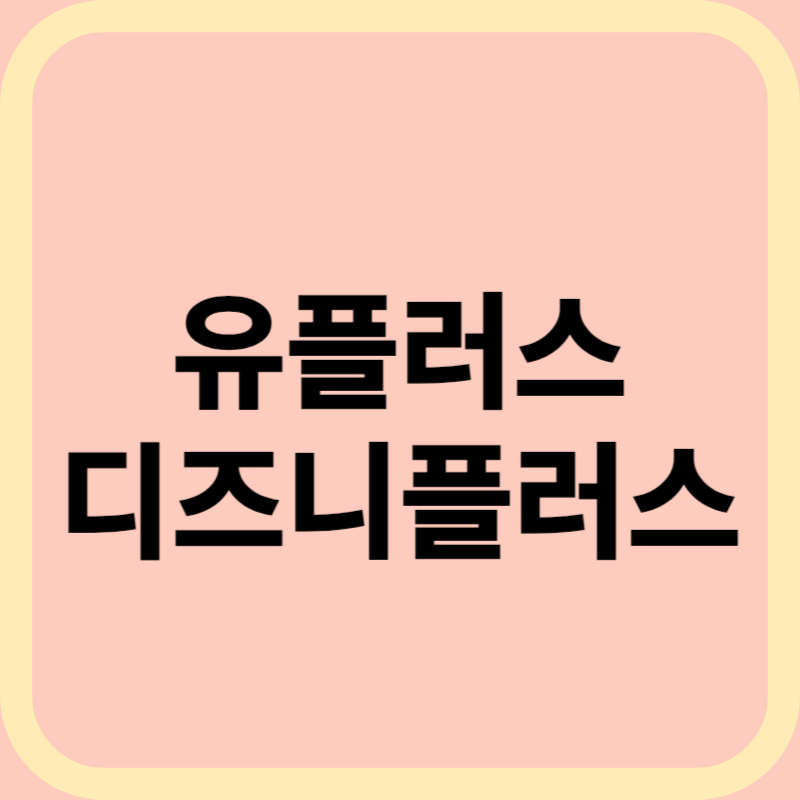 유플러스 디지니플러스