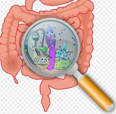 방귀를 안 뀌면 어떻게 될까? 몸속에서 일어나는 변화