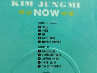 김정미 봄 가사 노래 무료 연속듣기_13