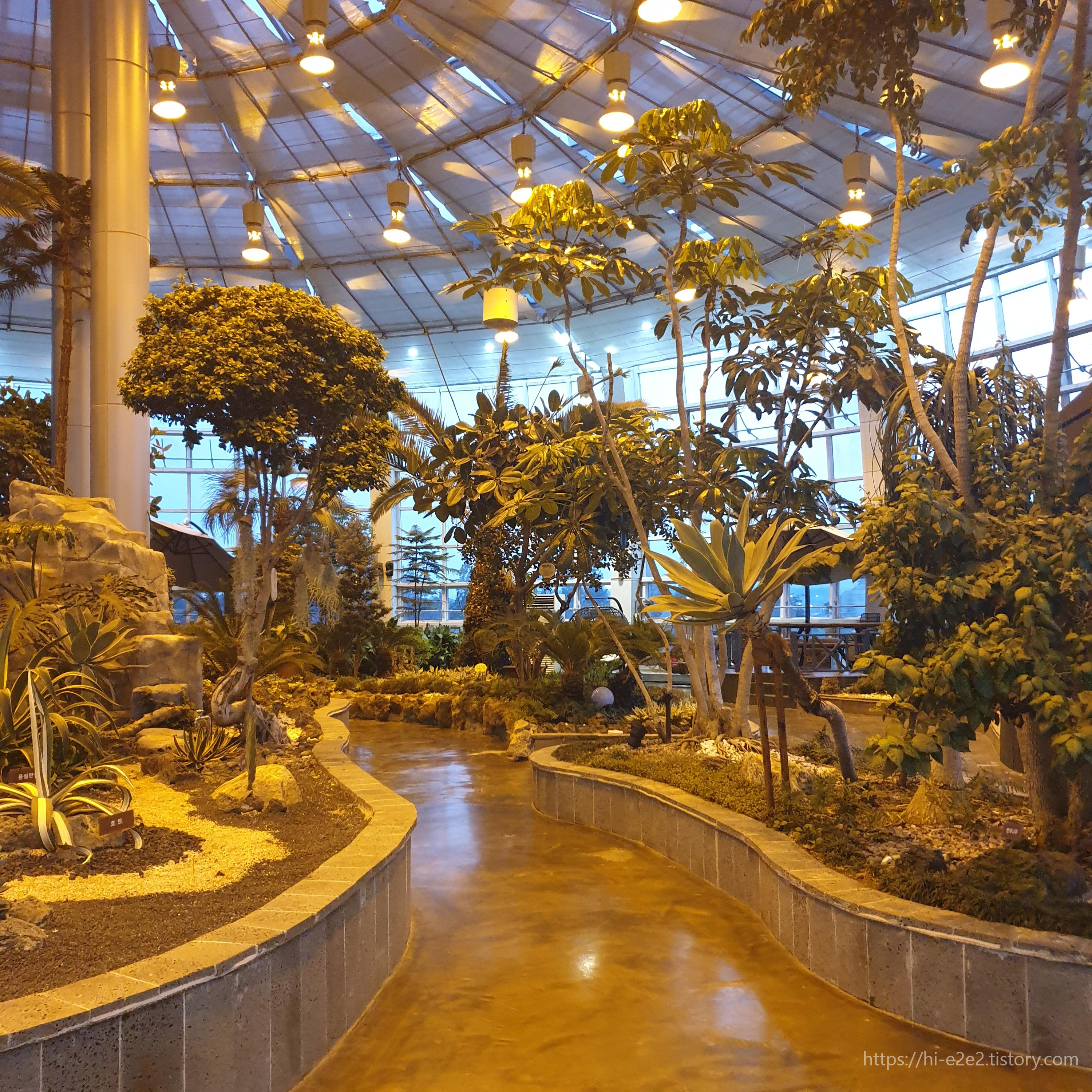 회산백련지 카페내부