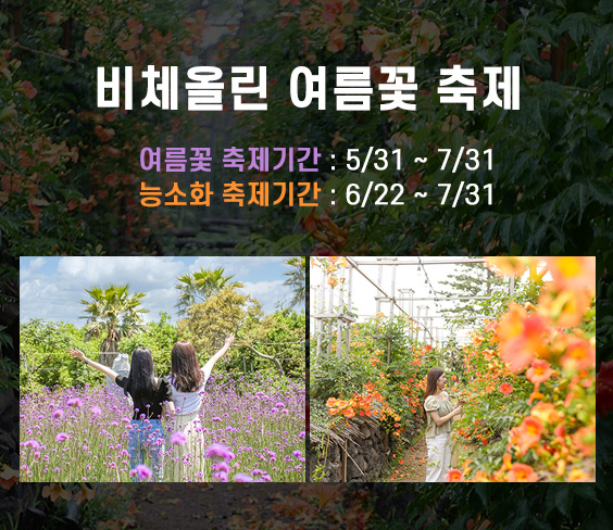 비체올린 능소화축제