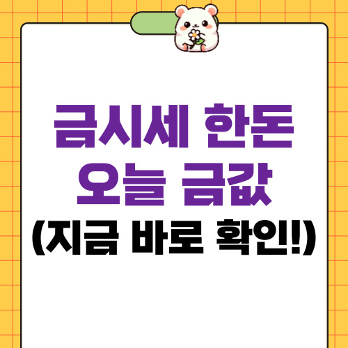 금시세 한돈 오늘 금값