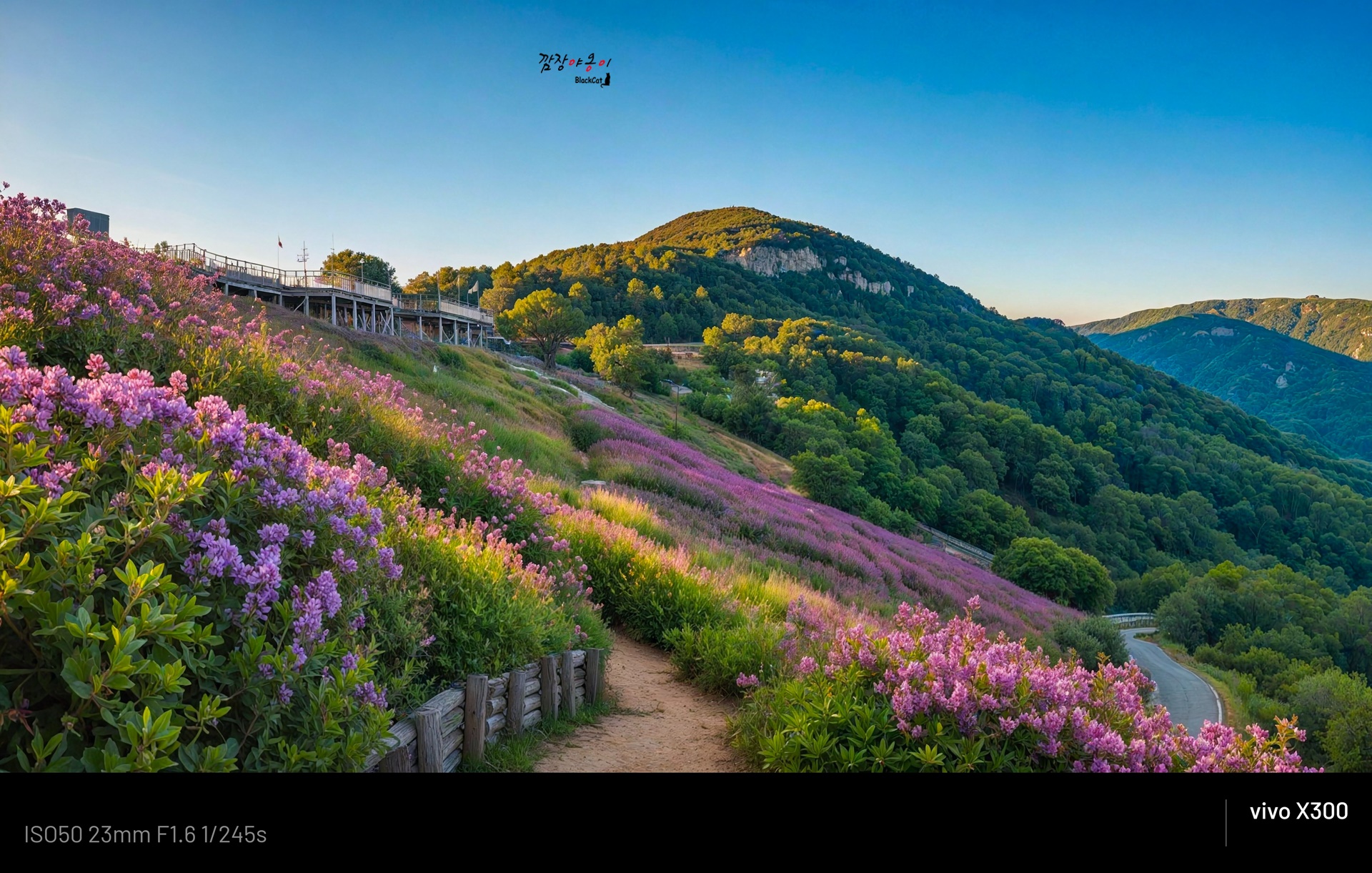 백양산 애진봉 철쭉군락지 전경과 부산 도심 조망