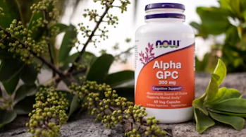 종합비타민 추천 순위