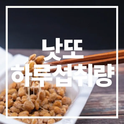 낫또 하루 섭취량