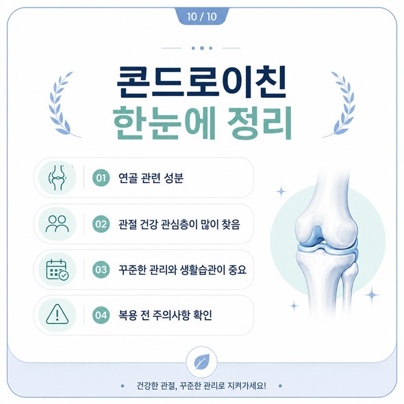 콘드로이친 효능