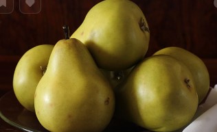 올팜 작물 난이도 정리 올웨이즈