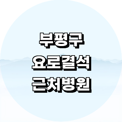 인천 부평구 요로결석 병원