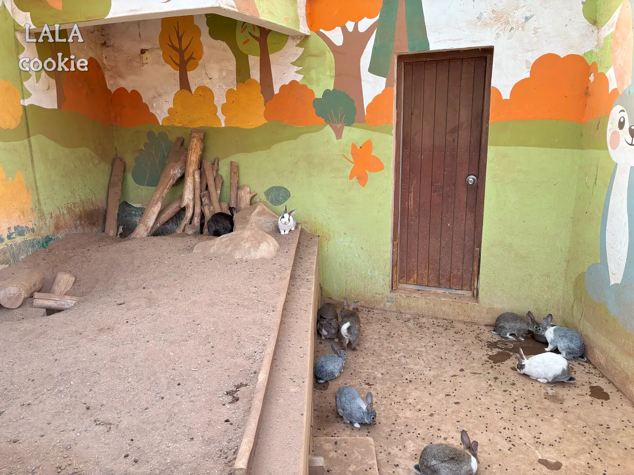 고양시-일산서구-가족나들이-추천-일산호수공원-토끼