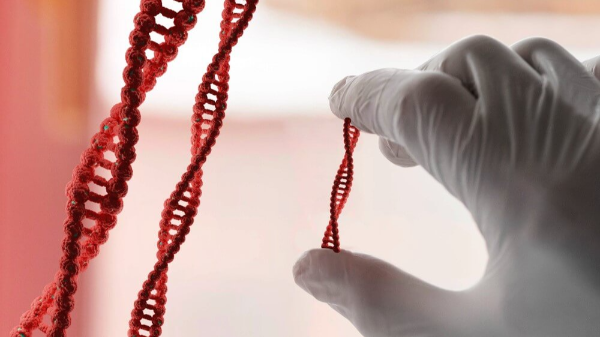 유전자 편집-crispr-cas9