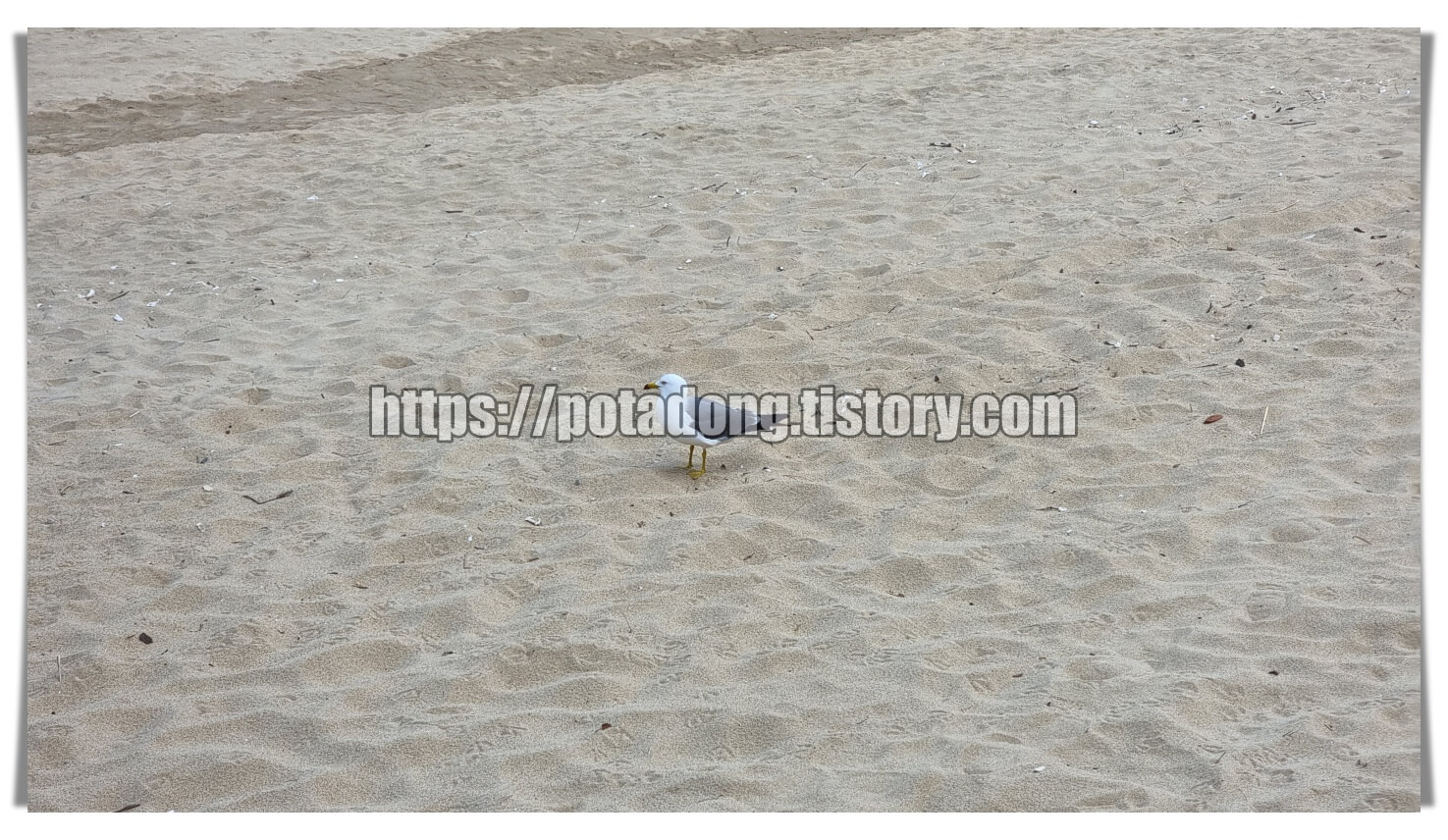 장경리해수욕장