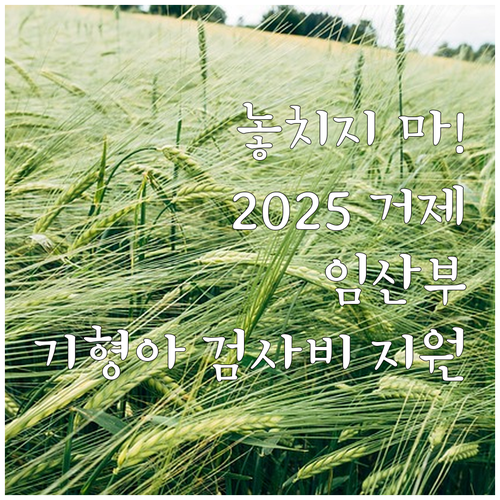 놓치지 마세요 2025 거제 임산부 ..