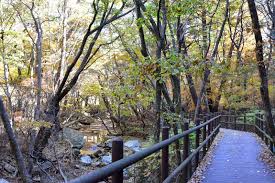 계룡산 단풍명소