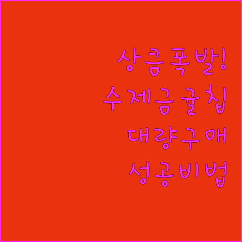 비타민 가득한 수제 금귤칩 만들기 방..