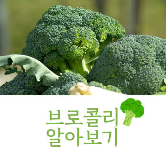 브로콜리
