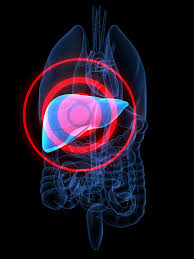 지방간 없애는 방법