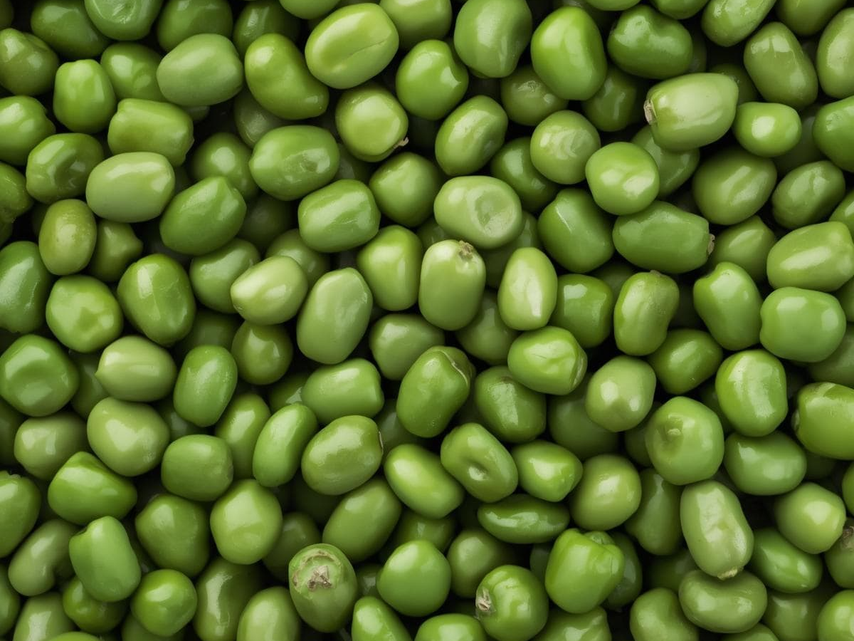 세포 손상 방지에 도움을 주는 녹두