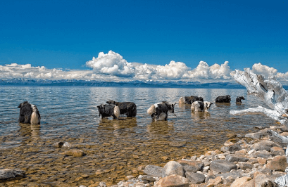 몽골 여행하기 좋은 계절&amp;#44; 준비물&amp;#44; 복장