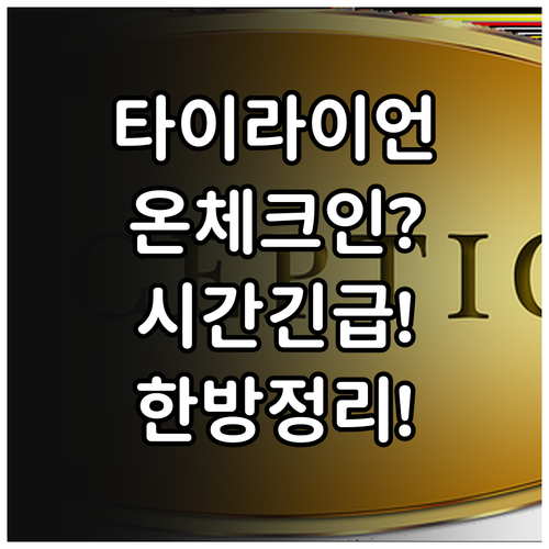 타이라이언에어 온라인 체크인 시간과 ..