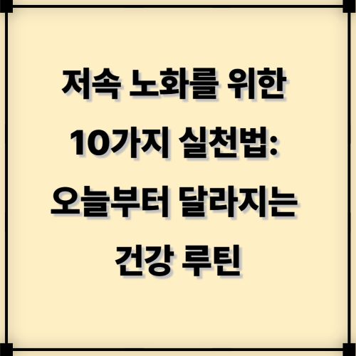 저속 노화를 위한 10가지 실천법: 오늘부터 달라지는 건강 루틴