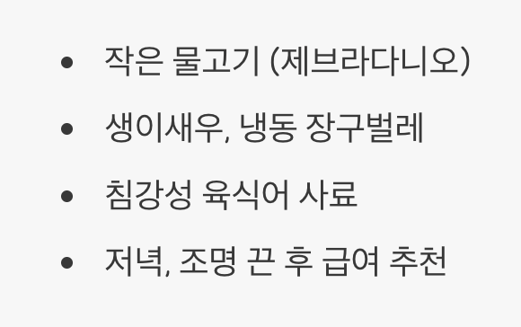 먹이 - &amp;#39;살아있는&amp;#39; 것을 좋아하는 사냥꾼